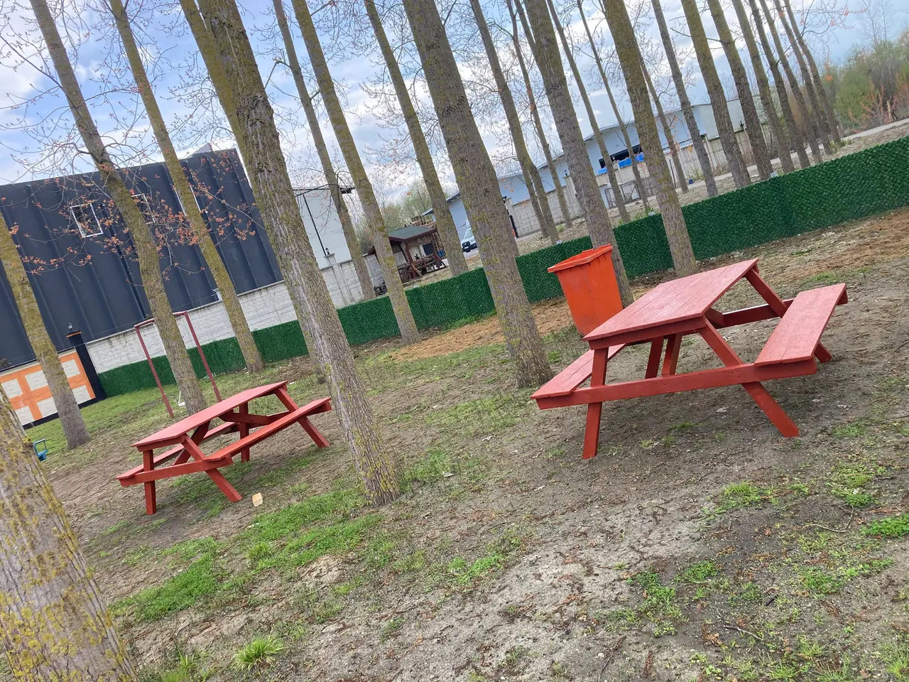 Ağaçlar arasında çim çit